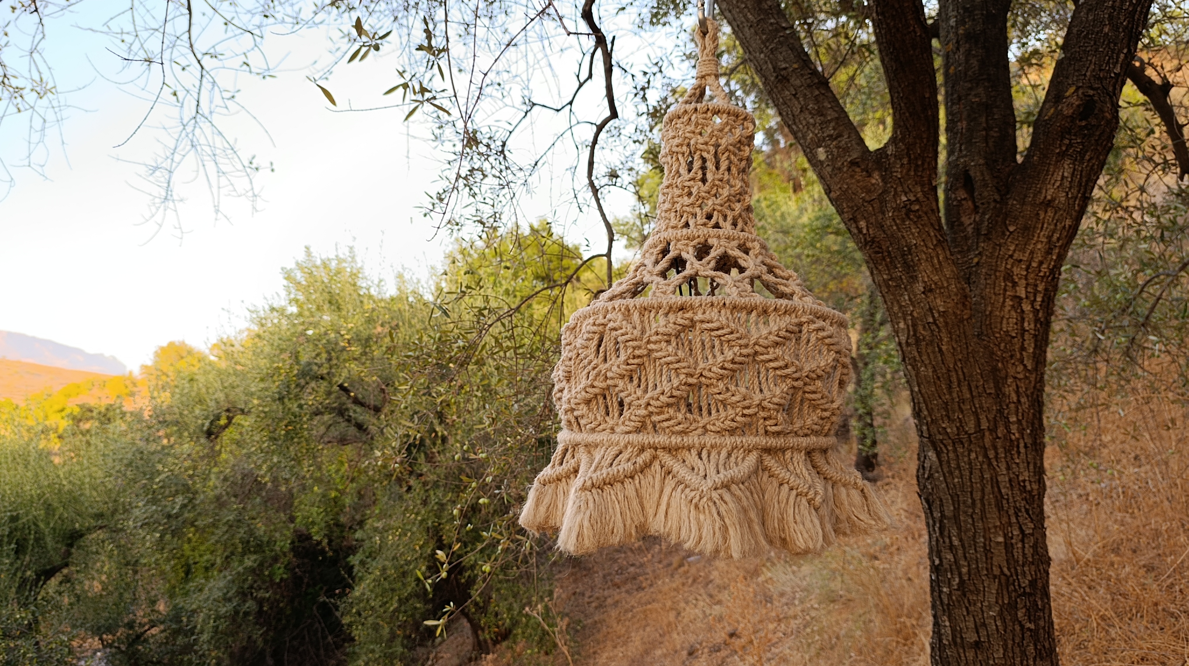 Product shot of La Pluma Dorada by Koko Bamboo, macramé pendant light in natural surroundings, suspended from an olive tree
